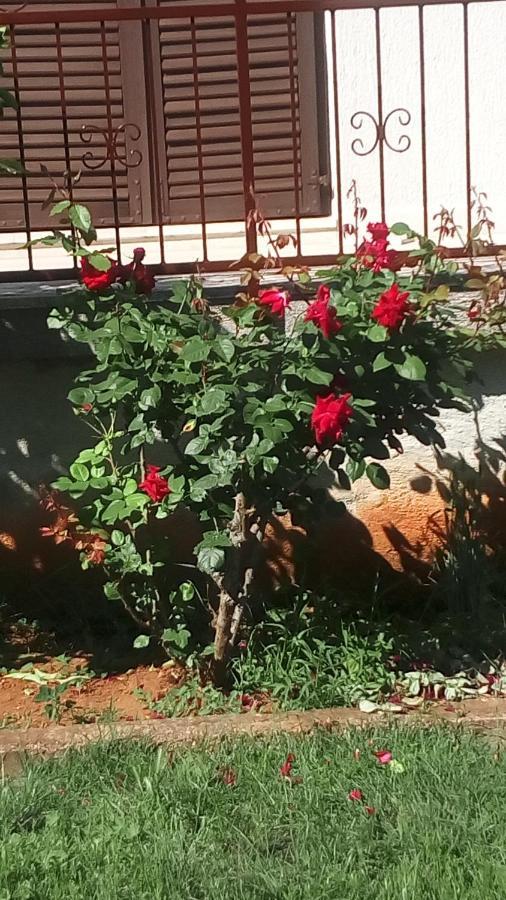 Apartment Vesna For 2, Free Parking And Wi-Fi بولا المظهر الخارجي الصورة